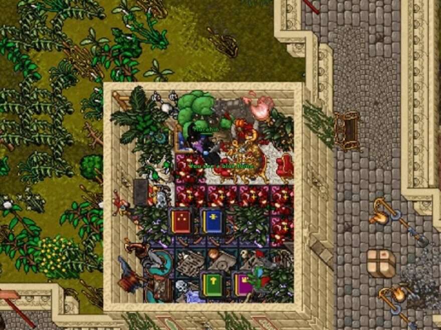 How do you get started in Tibia